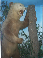 The Natural And Scientific Museum “Dr. Nikola Nezlobinski”